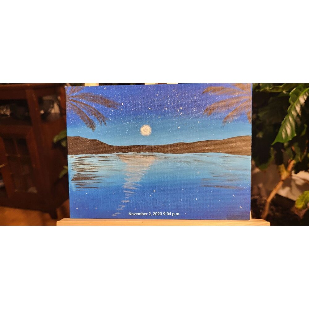 NAT3- Nature Loving Lack View At Night With Moon Rise & Signed By "CANNOOVA"